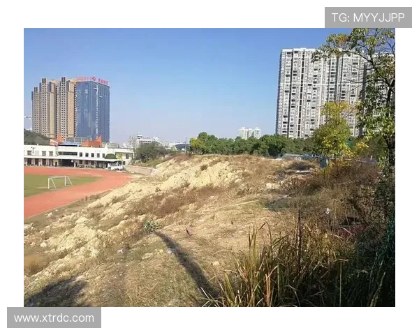 永州队奋勇拼搏再创辉煌描绘地方足球发展新篇章