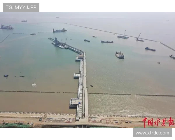 全球挑战赛评析LNG团队协作的亮点与不足之处