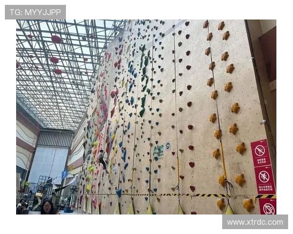 南京攀岩队实力分析与发展潜力探讨攀岩运动的未来展望