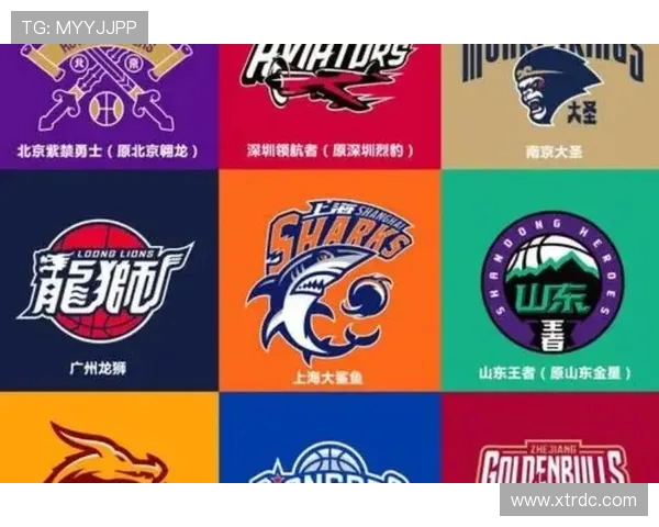 南京篮球队的个人能力揭秘与球场风采探讨