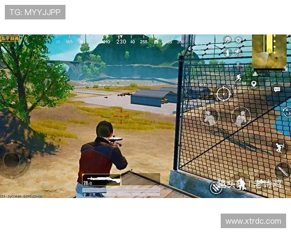 和平精英战术解析：深入探讨WE战队的区域防守策略与执行技巧