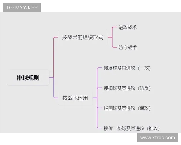 成都排球队整体压制战术解析与深度剖析排球竞技的魅力与挑战