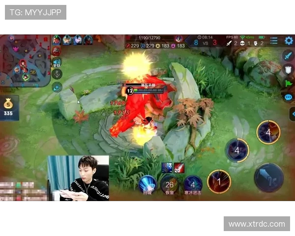 王者荣耀战术解析：深入探讨TES战队的防守策略与应对技巧