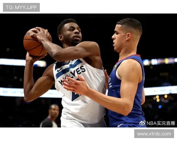 2004年NBA总决赛魔术队与森林狼队的精彩对决回顾与分析