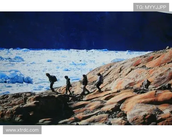 巴西与墨西哥对决分析大小球走势及投注建议