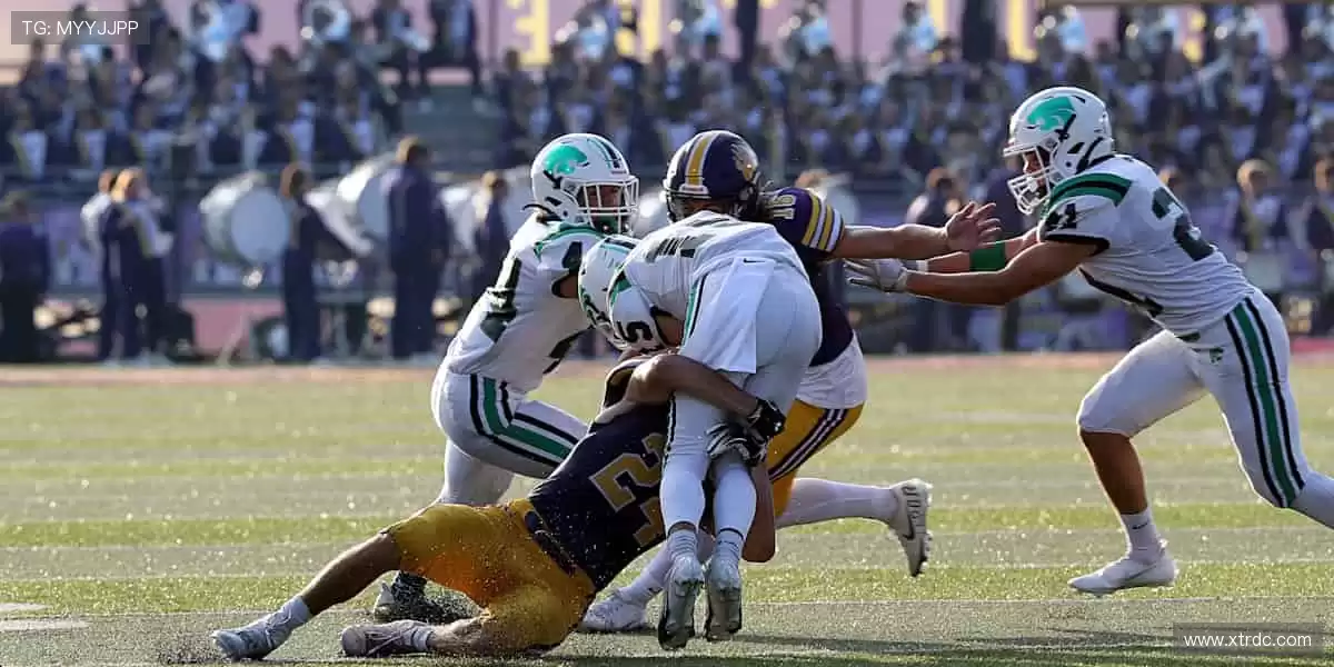 📱弹幕狂欢，实时互动！你的声音，让直播更有温度！